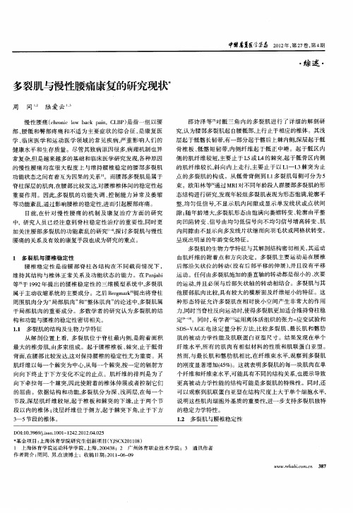 多裂肌与慢性腰痛康复的研究现状