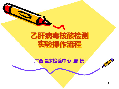 乙肝病毒核酸检测实验操作流程ppt课件
