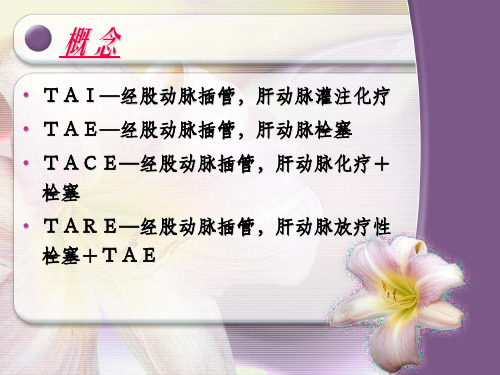 TACEppt课件