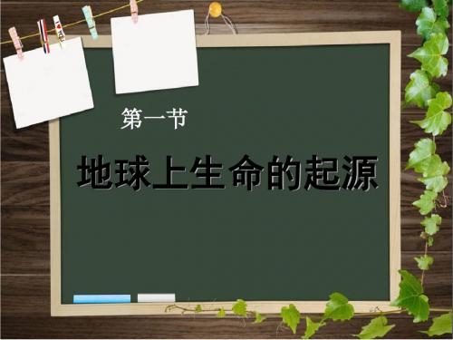 地球上生命的起源生物的进化 优秀ppt课件