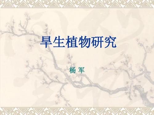 旱生植物研究