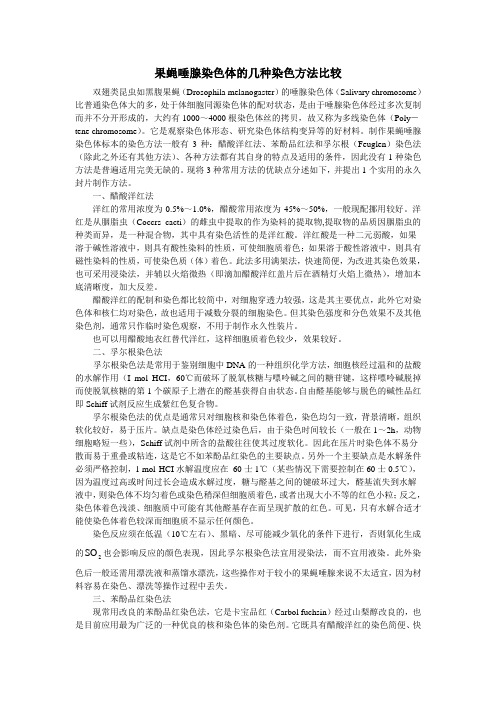 果蝇唾腺染色体的几种染色方法比较