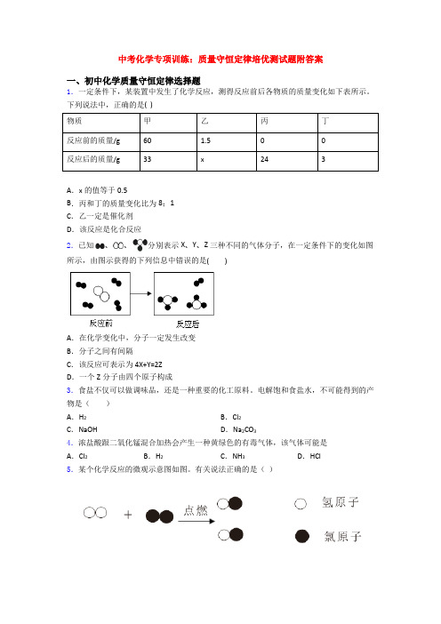 中考化学专项训练：质量守恒定律培优测试题附答案