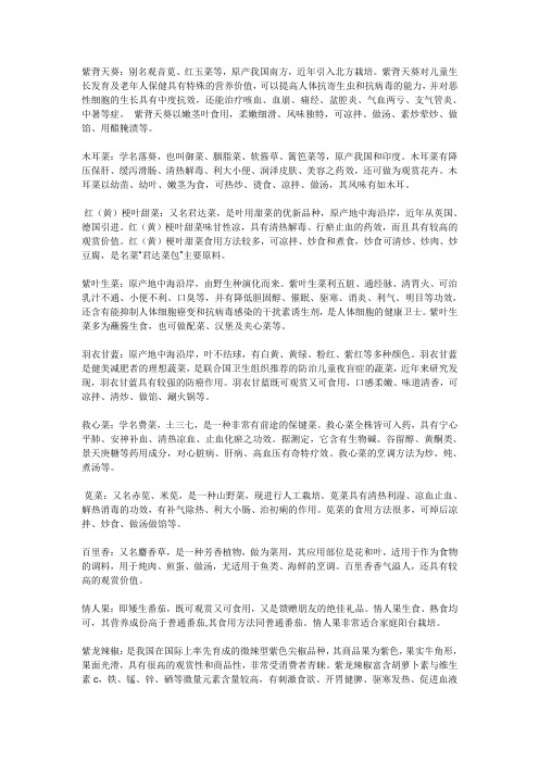 紫背天葵