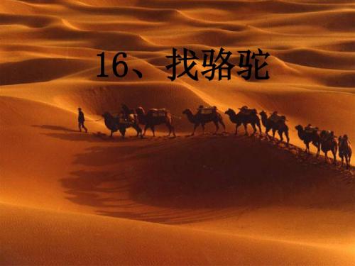 16《找骆驼》ppt课件1