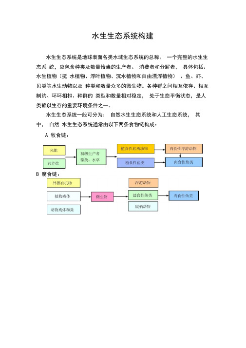 水生生态系统上