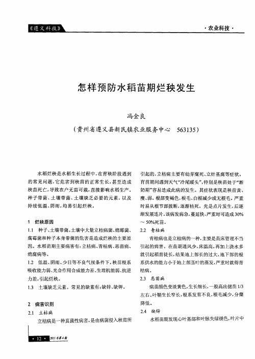 怎样预防水稻苗期烂秧发生