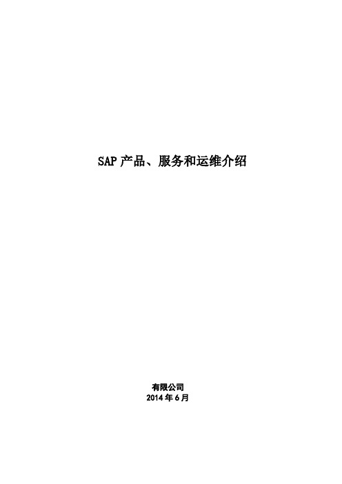 SAP产品 服务和运维介绍