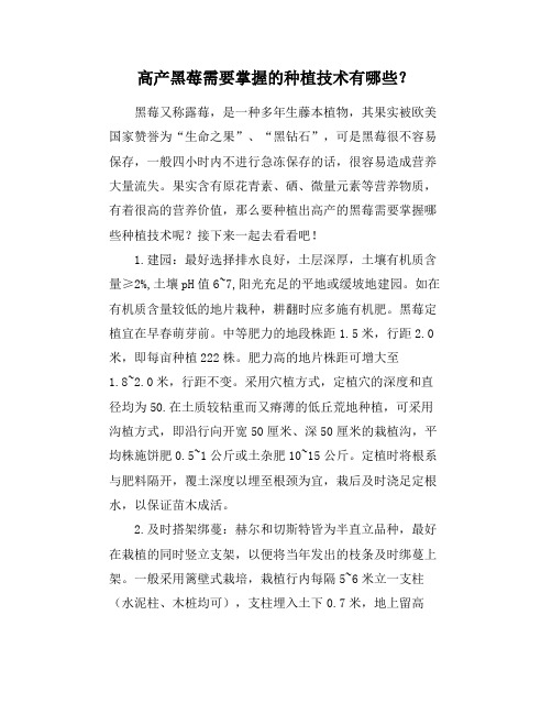 高产黑莓需要掌握的种植技术有哪些？