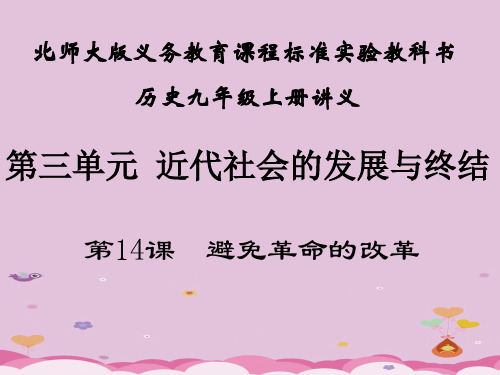避免革命的改革ppt4 北师大版课件