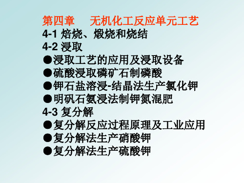 4化学工艺学课件第四章