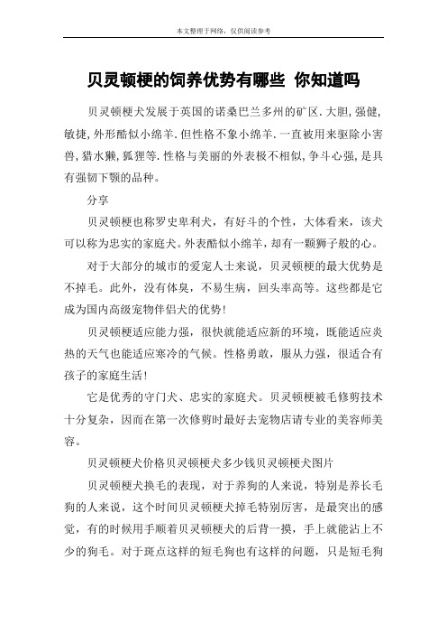 贝灵顿梗的饲养优势有哪些 你知道吗