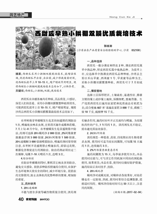 西甜瓜早熟小拱棚双膜优质栽培技术