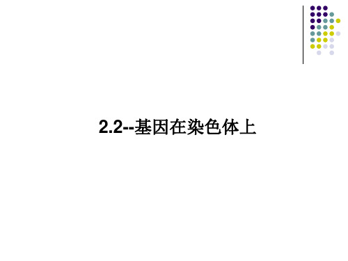 高中生物必修二2.2基因在染色体上 课件