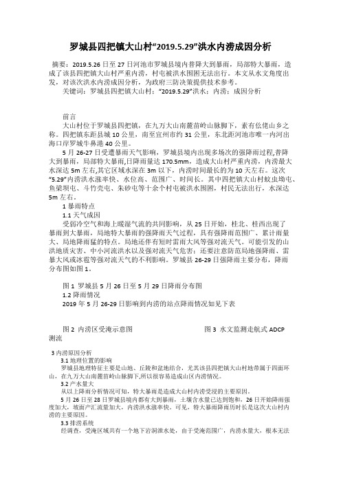罗城县四把镇大山村“2019.5.29”洪水内涝成因分析