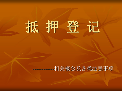 动 产 抵 押 登 记 课 件