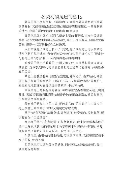 (一年级)动物尾巴的作用