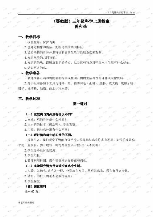 鄂教版小学科学三上《20鸭与鸡》word教案 (1)