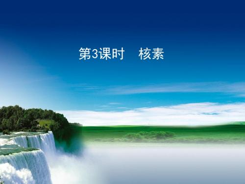 化学课件《核素》优秀ppt3 人教课标版