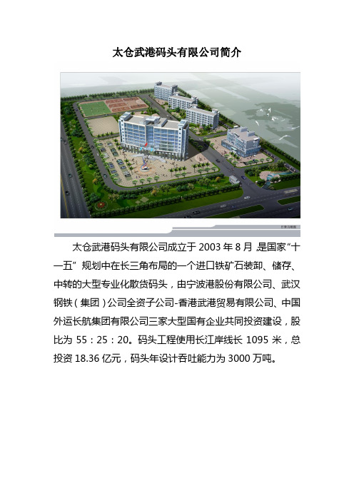 太仓武港码头有限公司简介2