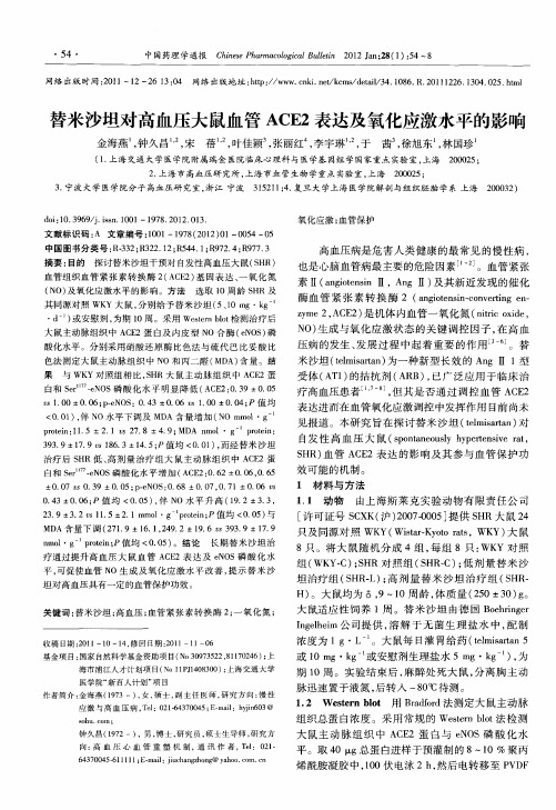 替米沙坦对高血压大鼠血管ACE2表达及氧化应激水平的影响