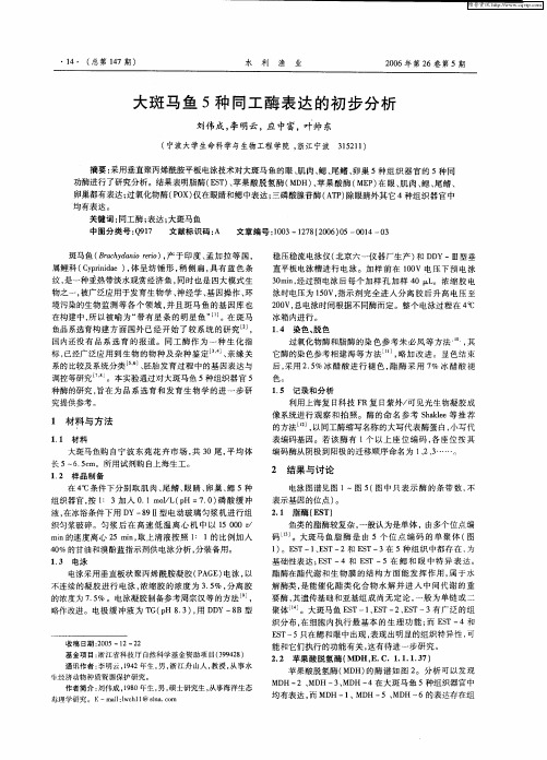 大斑马鱼5种同工酶表达的初步分析