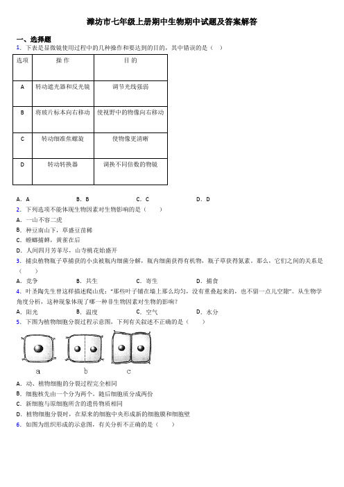 潍坊市七年级上册期中生物期中试题及答案解答