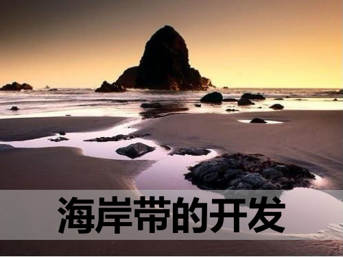 《海岸带的开发》课件