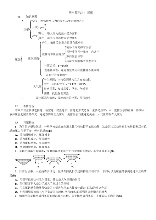 2018-2019学年人教版八年级下册期末复习(课件+配套习题)期末复习(三) 压强
