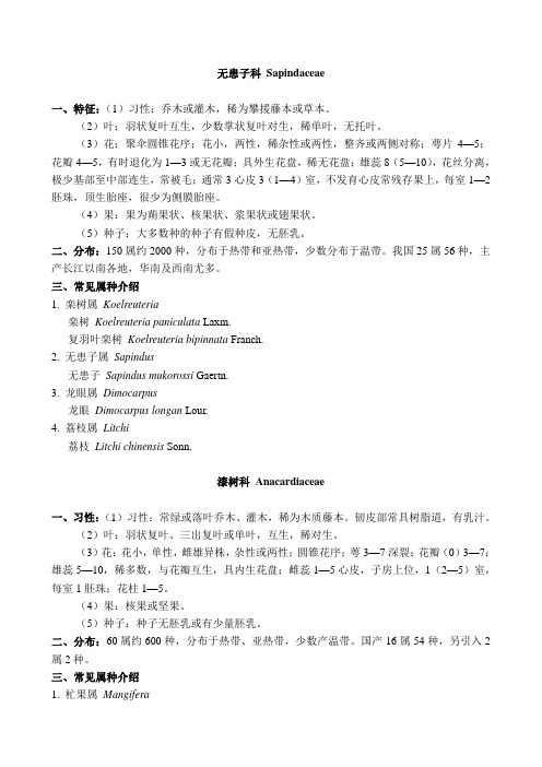无患子科