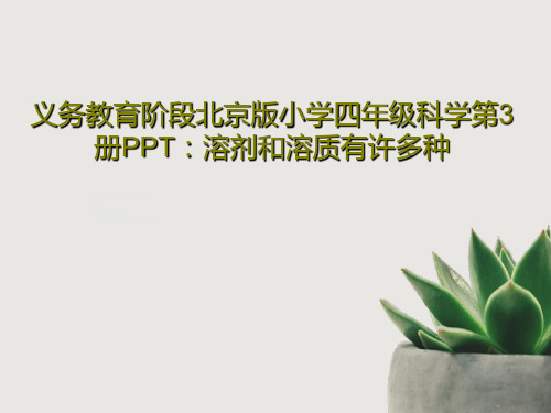义务教育阶段北京版小学四年级科学第3册PPT：溶剂和溶质有许多种共15页文档