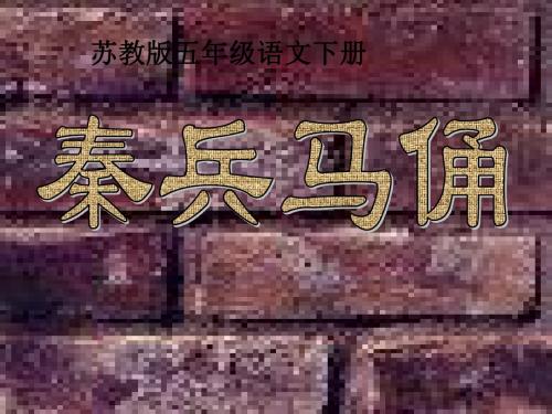 14秦兵马俑第一课时