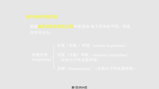 水处理生物学微生物代谢PPT课件