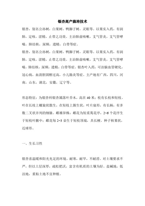 银杏高产栽培技术