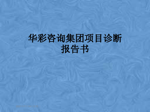 华彩咨询集团项目诊断报告书