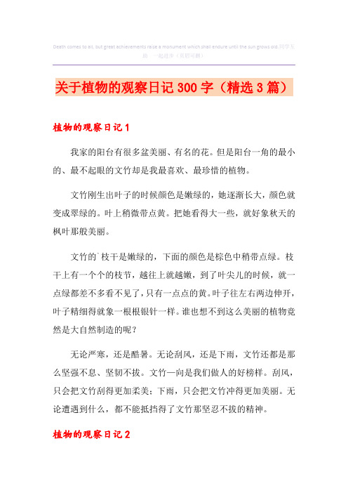 关于植物的观察日记300字(精选3篇)
