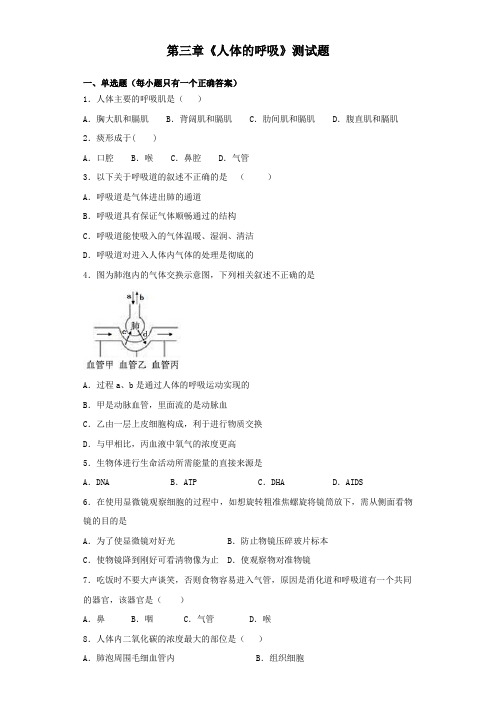 人教版生物七年级下第四单元第三章《人体的呼吸》测试试题(含答案)