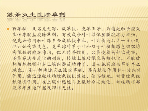 触杀灭生性除草剂