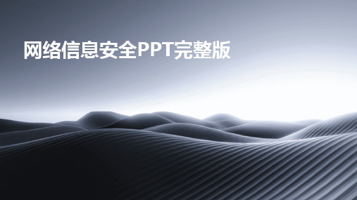 2024版网络信息安全PPT完整版