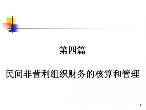 (cml4)民间非营利组织财务管理与核算
