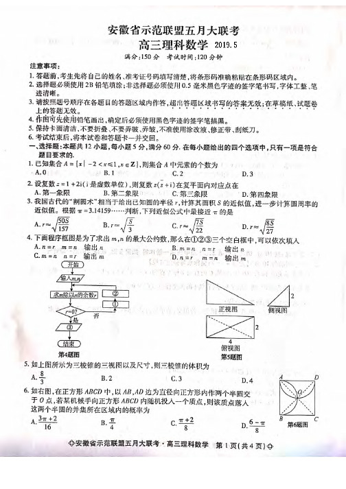 安徽省示范联盟2019届高三五月大联考高三理科数学试题 PDF版含答案
