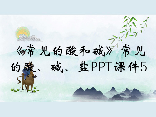 《常见的酸和碱》常见的酸、碱、盐PPT课件5