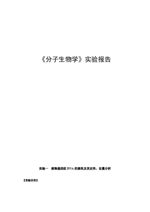 植物基因组DNA的提取及其定性、定量分析