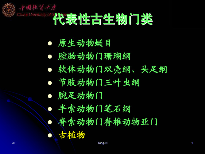 古生物学课件12(中国地质大学地球生物学系 童金南)