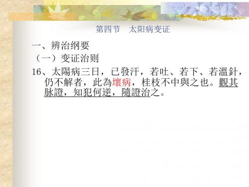辨太阳病脉证并治第四节太阳病变证课件