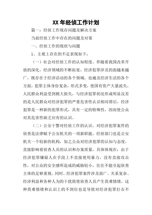 XX年经侦工作计划