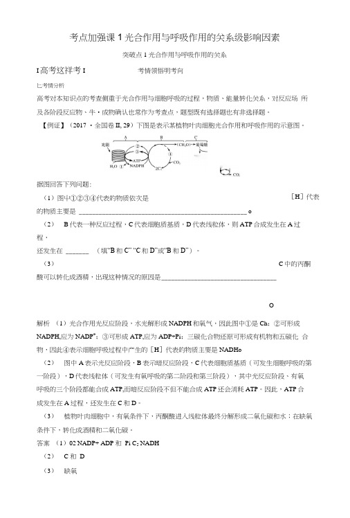 2019版高考生物一轮复习第一单元有机体中的细胞考点加强课1光合作用与呼吸作用的.docx