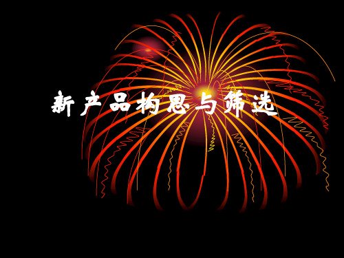 5产品构思与筛选