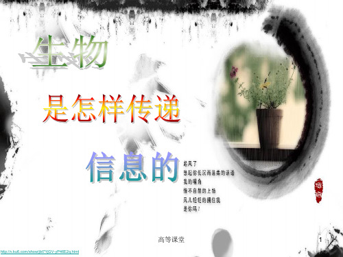 生物是怎样传递信息的ppt课件(专业教育)