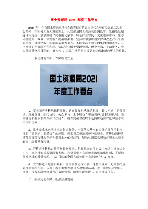 国土资源局2021年度工作要点